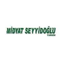 Midyat Seyyidoğlu pour PC