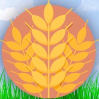 Родина ТМ pour PC