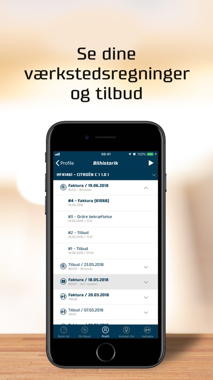 Skorstensgaard screenshot-4