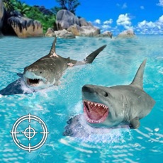 Activities of Scuba & Shark Game – Hunting