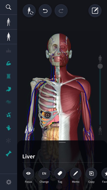 3D anatomy teamLabBody2020 screenshot-0