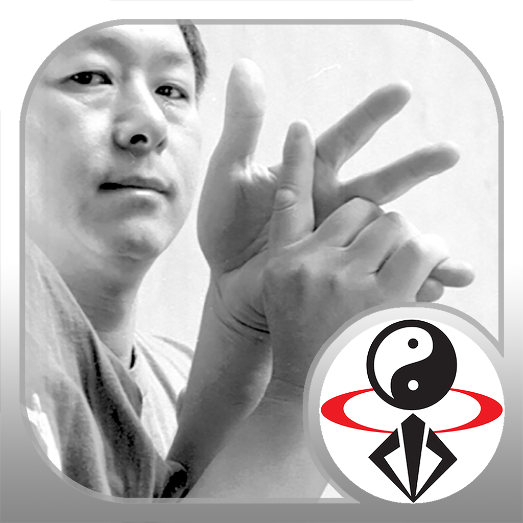 Get Chin Na In Depth for iOS, iPhone, iPad Aso Report