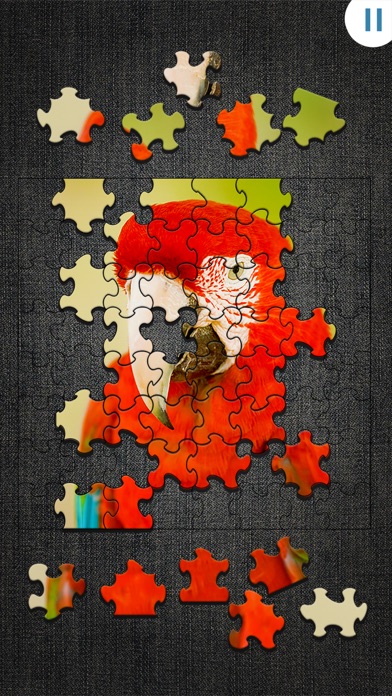 Jigty Jigsaw Puzzles Screenshot 5