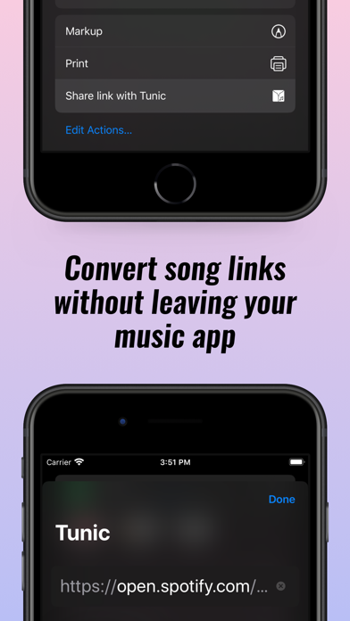 Tunic: Convert music links screenshot 3