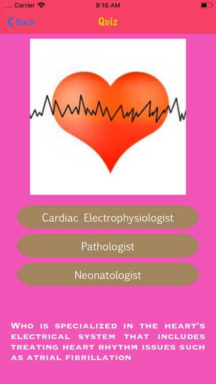 Different Types of Doctors