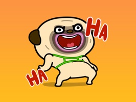 Cool Dog Animated Stickers