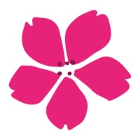 Julie Moda - ShoppingFashion