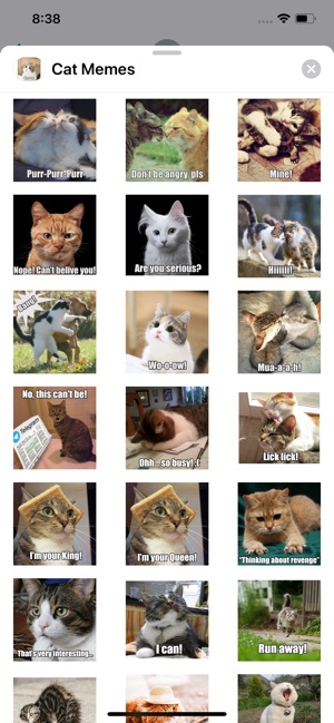 Cat Memes Sticker Pack