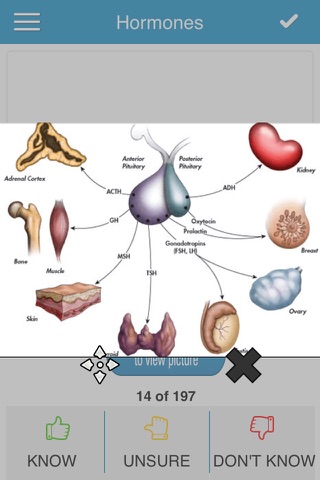 NBDE Biochem/Physio Cram Cards - náhled
