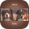 ASCA Rally Obedience for the iPhone has been updated with the newest 2018 signs and videos