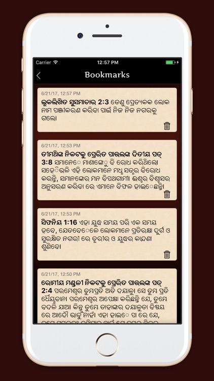 Daily Study Oriya Holy Bible screenshot-3