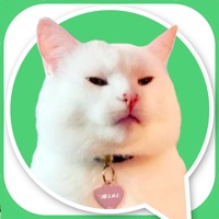 팩 스튜디오 - 스티커 메이커