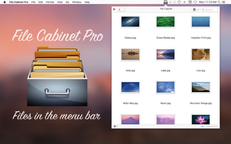 File Cabinet Pro screenshot1