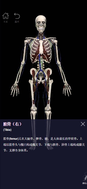 AnatomyAR(圖2)-速報App