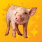 Top 37 Entertainment Apps Like Oink Pro - Pig Sounds - Best Alternatives