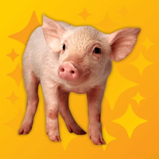 Oink Pro - Pig Sounds icon