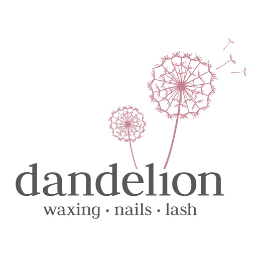 Dandelion Indonesia