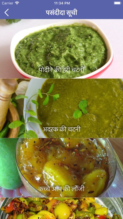 Chutney Thali in Hindi screenshot-3