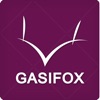 가시여우 - gasifox