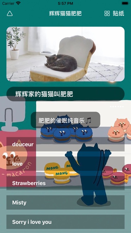 辉辉猫猫肥肥