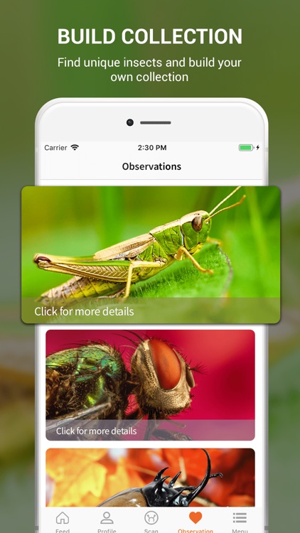 Insect identifier by photo screenshot-6