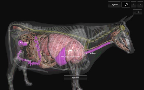 3D Bovine Anatomy screenshot 4