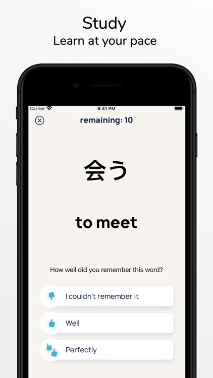 JLPT Quiz Japanese Kit