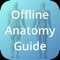 Offline Anatomy Guide is a classic human anatomy guide app