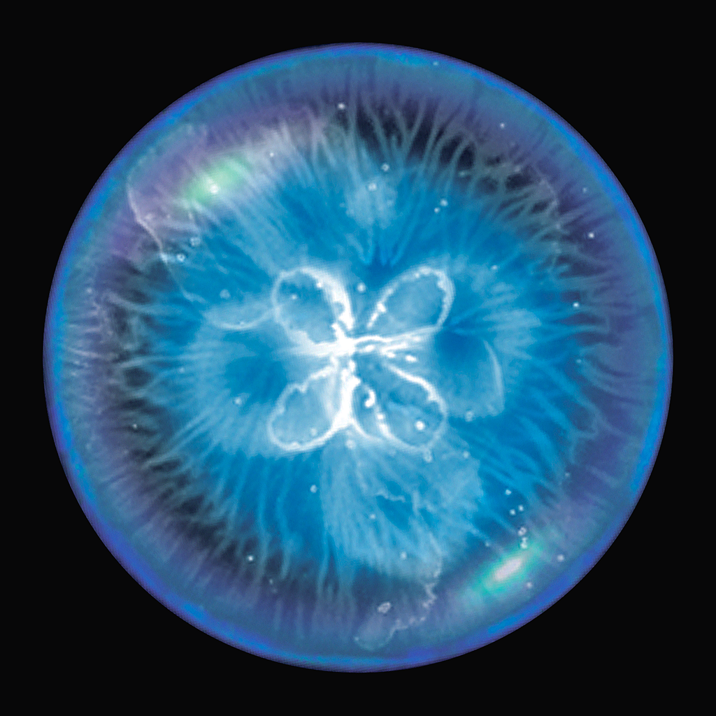 Osmos App Icon