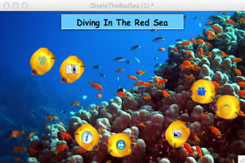 Diving In The Red Sea - náhled