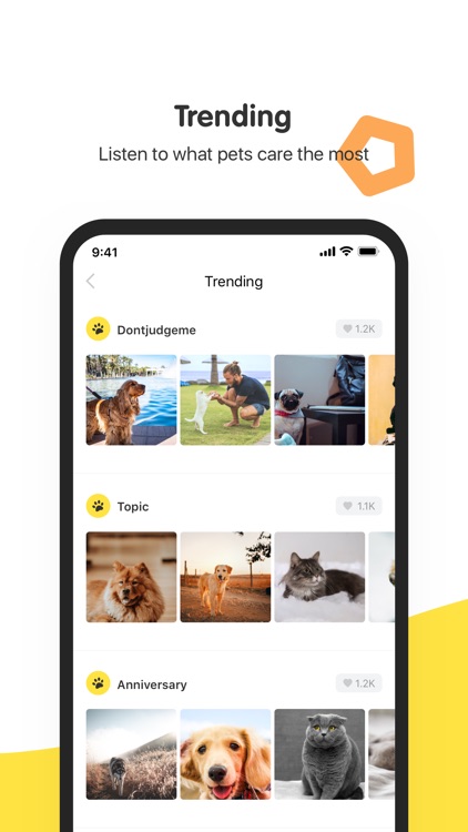 PawHub - A Pet Social Media screenshot-4