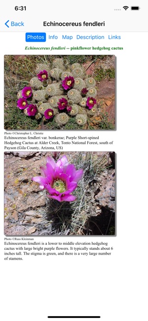 West Texas Wildflowers(圖3)-速報App