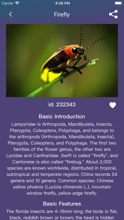 InsectSmallKnowledge screenshot-5