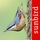 Bird Id - British Isles birds