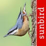 Get Bird Id - British Isles birds for iOS, iPhone, iPad Aso Report