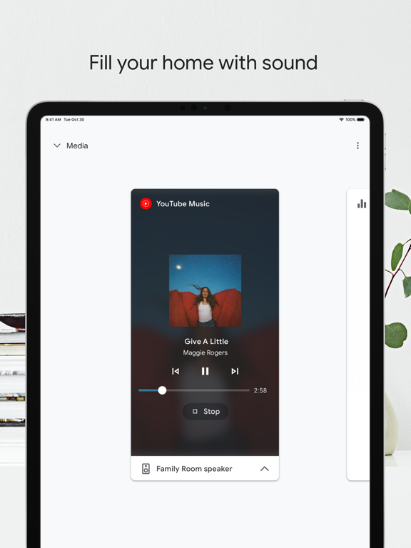 iPad Image of Google Home