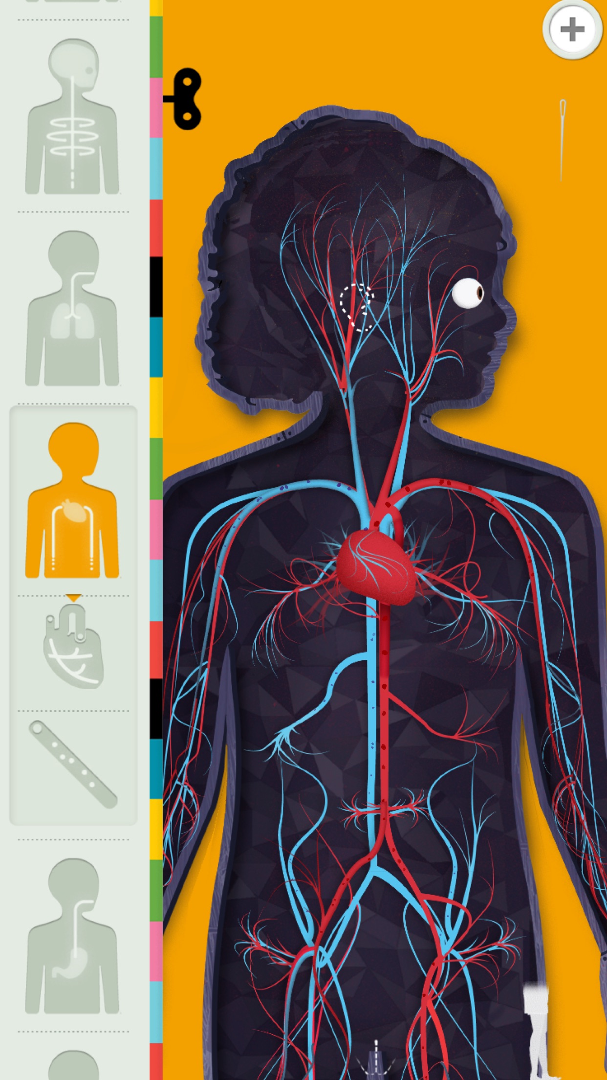 Screenshot do app O Corpo Humano por Tinybop