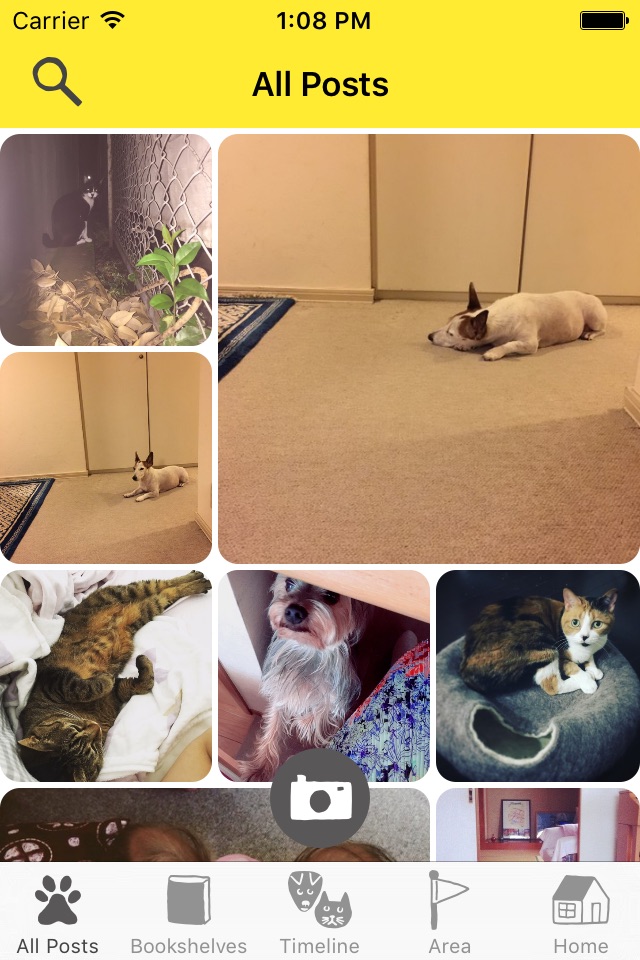 Dokonoko - Dogs&Cats Photo App screenshot 2