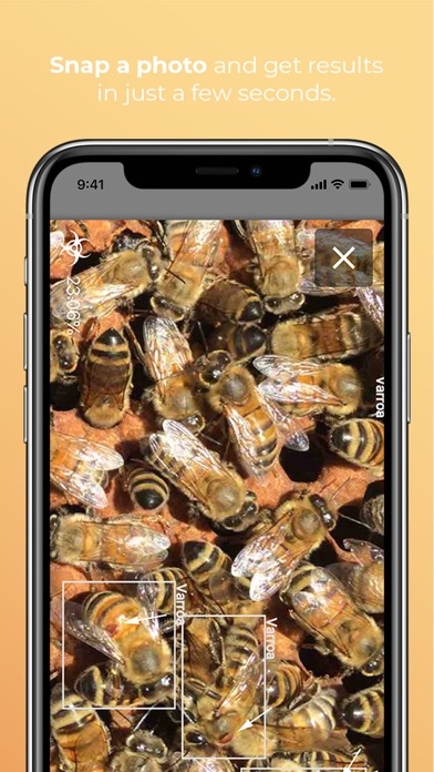 BeeScanning screenshot 3