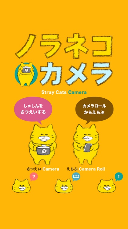 Stray Cats Camera