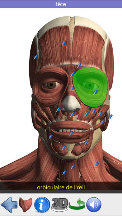 Anatomie Visuel screenshot 3
