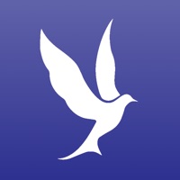 Ministerio Vida Plena pour PC
