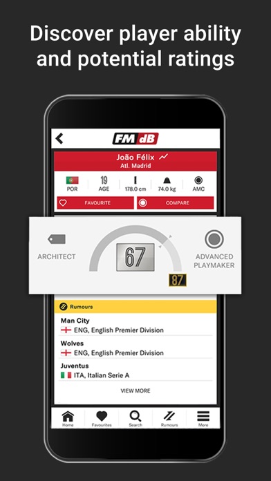 FMdB Football Scout screenshot1