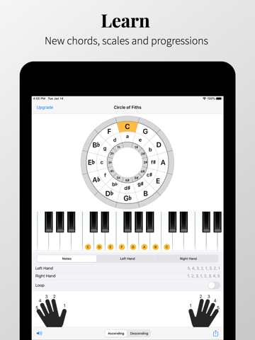 Piano Chords and Scales screenshot 4