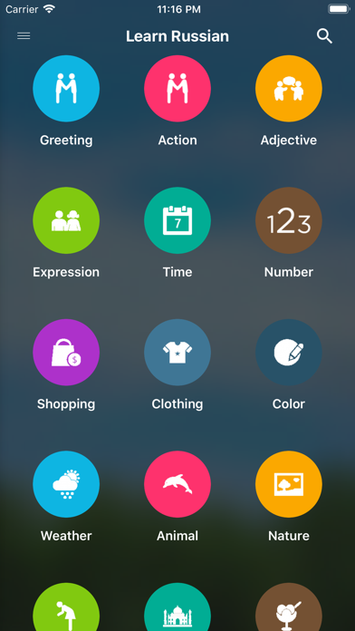 App preview