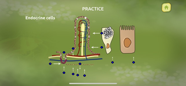 Animal Nutrition Biology(圖5)-速報App