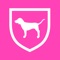 Exclusive access for PINK's #1 fans