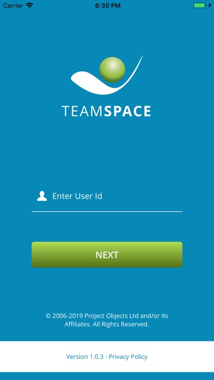 Project Objects TeamSpace