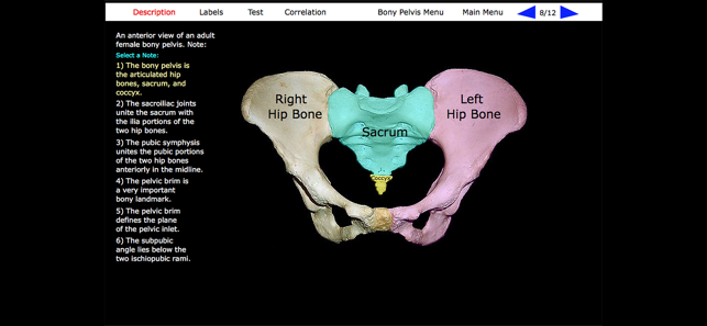 Human Skeleton: Gross Anatomy(圖6)-速報App