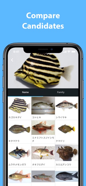 Mikke Fish ID(圖2)-速報App